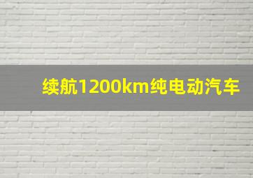 续航1200km纯电动汽车