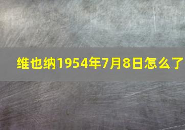 维也纳1954年7月8日怎么了