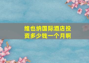 维也纳国际酒店投资多少钱一个月啊