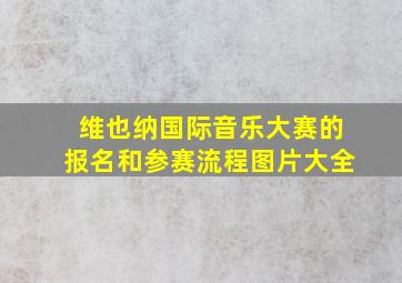 维也纳国际音乐大赛的报名和参赛流程图片大全