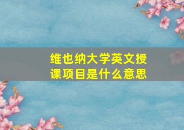 维也纳大学英文授课项目是什么意思