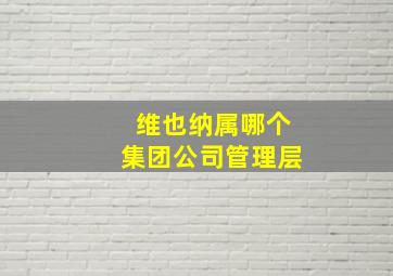 维也纳属哪个集团公司管理层