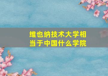 维也纳技术大学相当于中国什么学院