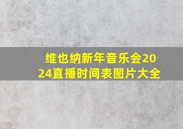 维也纳新年音乐会2024直播时间表图片大全