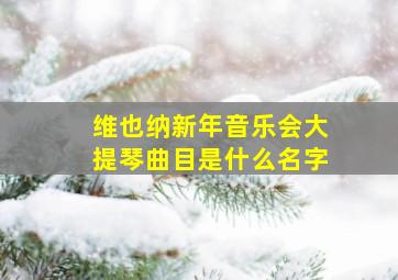 维也纳新年音乐会大提琴曲目是什么名字