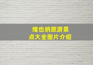 维也纳旅游景点大全图片介绍