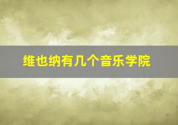 维也纳有几个音乐学院