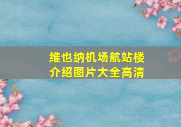 维也纳机场航站楼介绍图片大全高清