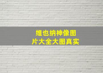 维也纳神像图片大全大图真实