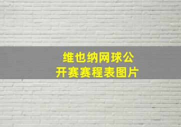 维也纳网球公开赛赛程表图片