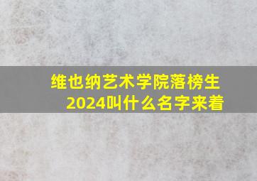 维也纳艺术学院落榜生2024叫什么名字来着