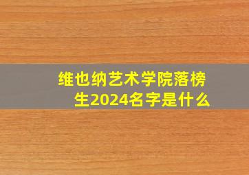 维也纳艺术学院落榜生2024名字是什么