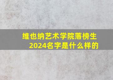 维也纳艺术学院落榜生2024名字是什么样的