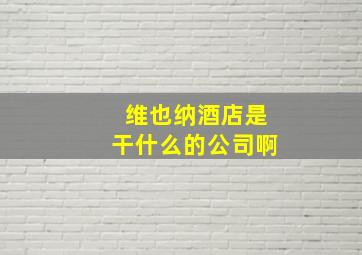 维也纳酒店是干什么的公司啊