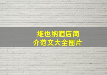 维也纳酒店简介范文大全图片