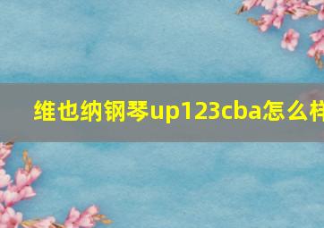 维也纳钢琴up123cba怎么样