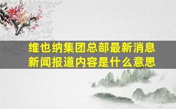 维也纳集团总部最新消息新闻报道内容是什么意思