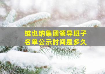 维也纳集团领导班子名单公示时间是多久