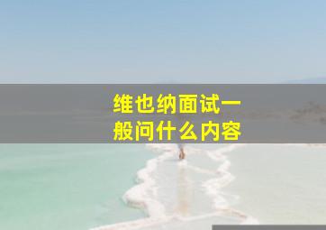 维也纳面试一般问什么内容