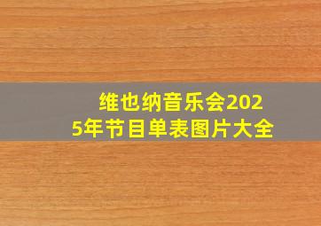 维也纳音乐会2025年节目单表图片大全