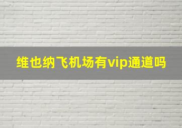 维也纳飞机场有vip通道吗