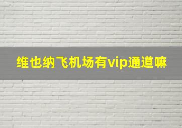 维也纳飞机场有vip通道嘛