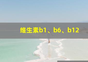 维生素b1、b6、b12