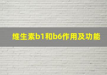 维生素b1和b6作用及功能