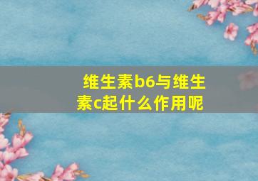 维生素b6与维生素c起什么作用呢