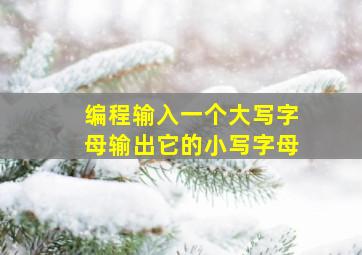 编程输入一个大写字母输出它的小写字母