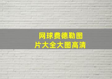 网球费德勒图片大全大图高清