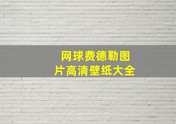 网球费德勒图片高清壁纸大全