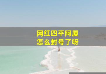 网红四平阿厦怎么封号了呀