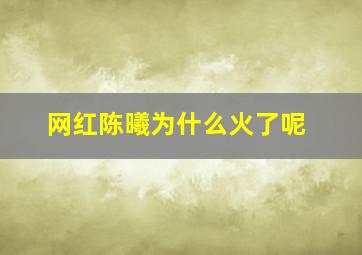 网红陈曦为什么火了呢