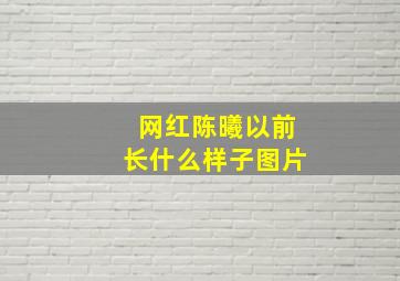 网红陈曦以前长什么样子图片