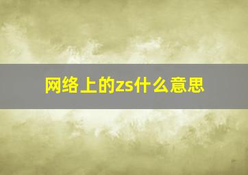 网络上的zs什么意思