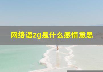 网络语zg是什么感情意思