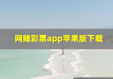 网赌彩票app苹果版下载