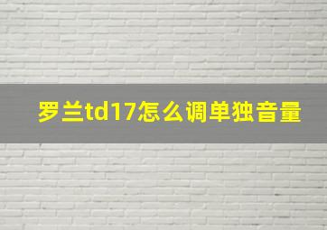 罗兰td17怎么调单独音量