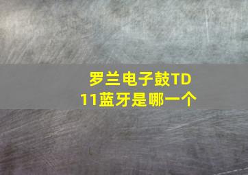 罗兰电子鼓TD11蓝牙是哪一个