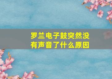 罗兰电子鼓突然没有声音了什么原因