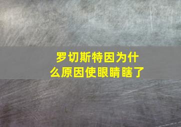 罗切斯特因为什么原因使眼睛瞎了