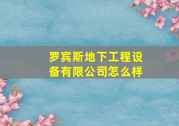 罗宾斯地下工程设备有限公司怎么样