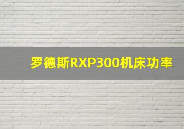 罗德斯RXP300机床功率