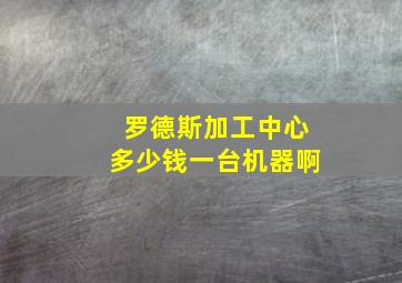 罗德斯加工中心多少钱一台机器啊