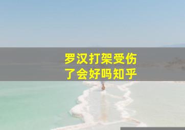 罗汉打架受伤了会好吗知乎