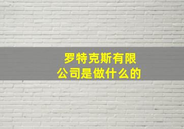 罗特克斯有限公司是做什么的