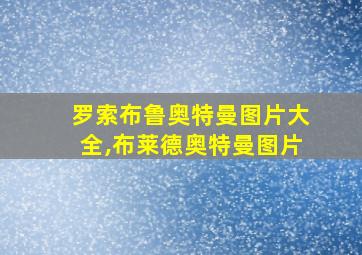 罗索布鲁奥特曼图片大全,布莱德奥特曼图片