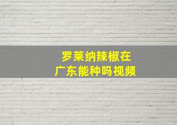 罗莱纳辣椒在广东能种吗视频