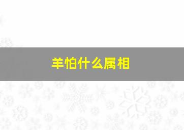 羊怕什么属相